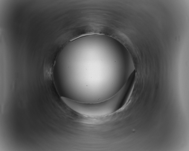 X0000088850045200706151725