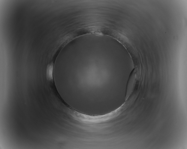 X0000088850047200706151725