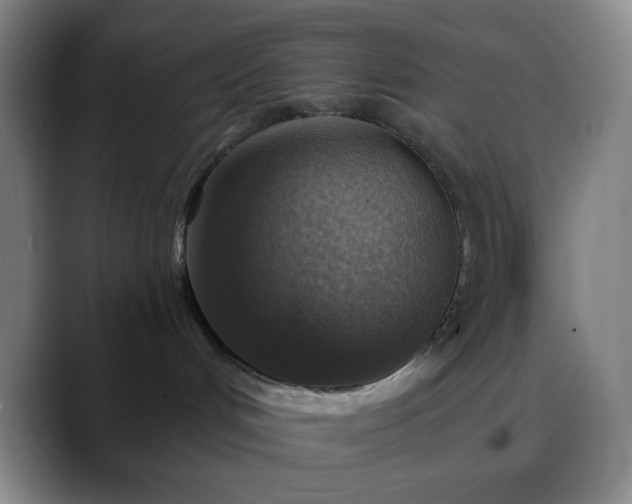 X0000088850048200706151725