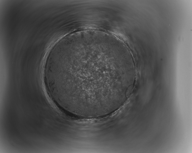 X0000088850049200706151724