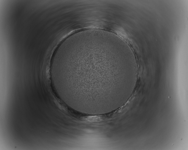 X0000088850050200706151724