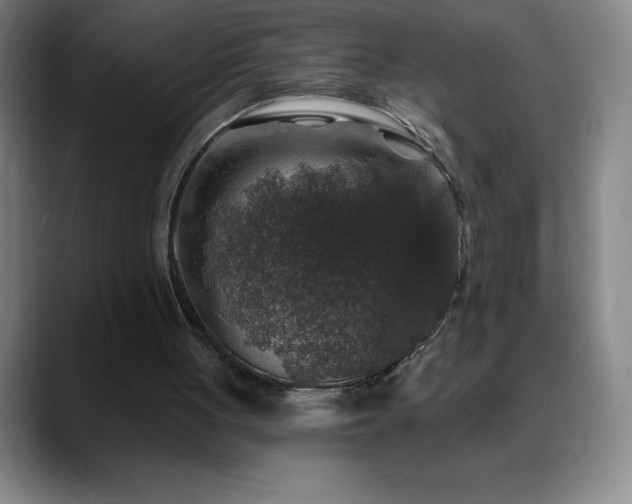 X0000088850051200706151724