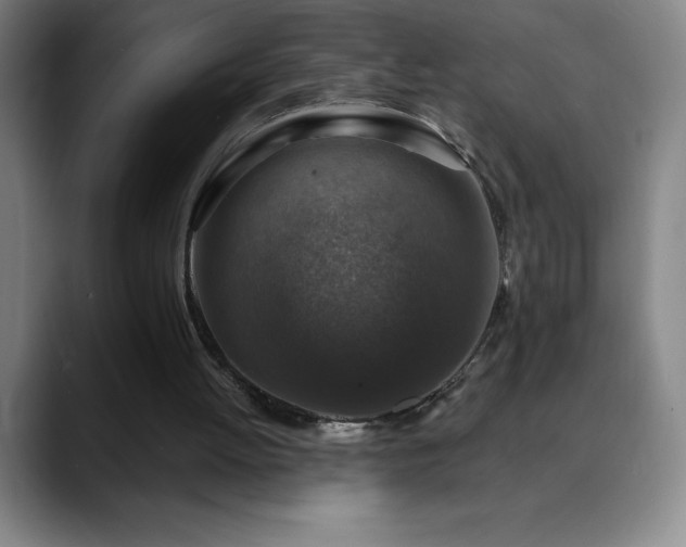 X0000088850052200706151724