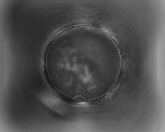 X0000088850053200706151724