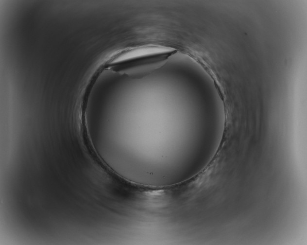 X0000088850054200706151724