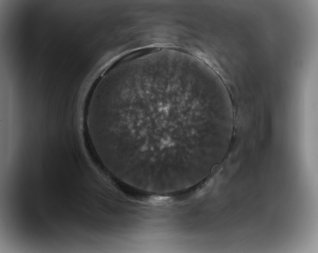 X0000088850055200706151725