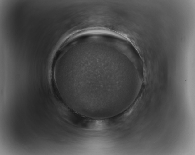 X0000088850056200706151725