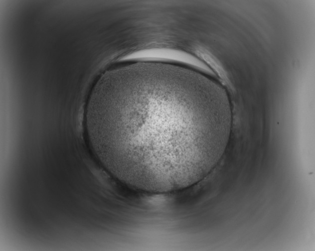 X0000088850058200706151725