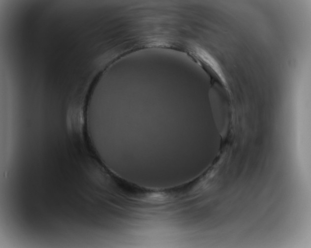 X0000088850059200706151725