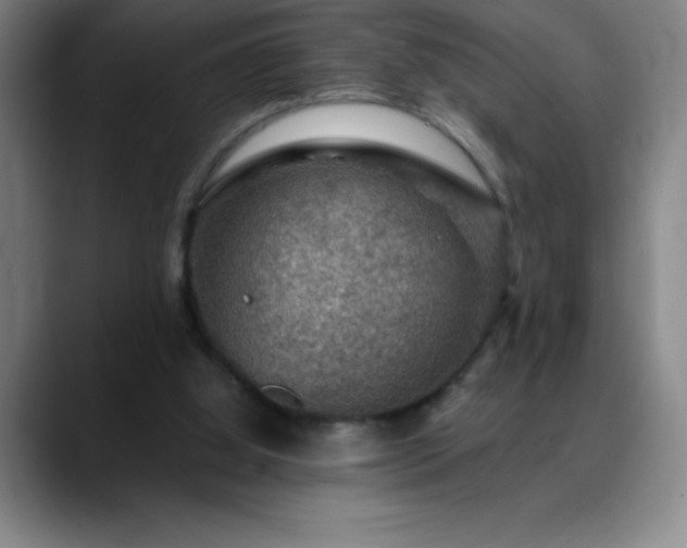 X0000088850060200706151725