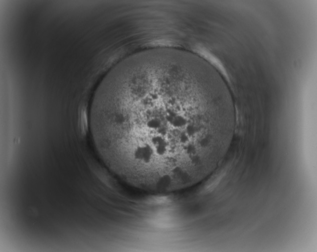 X0000088850061200706151725