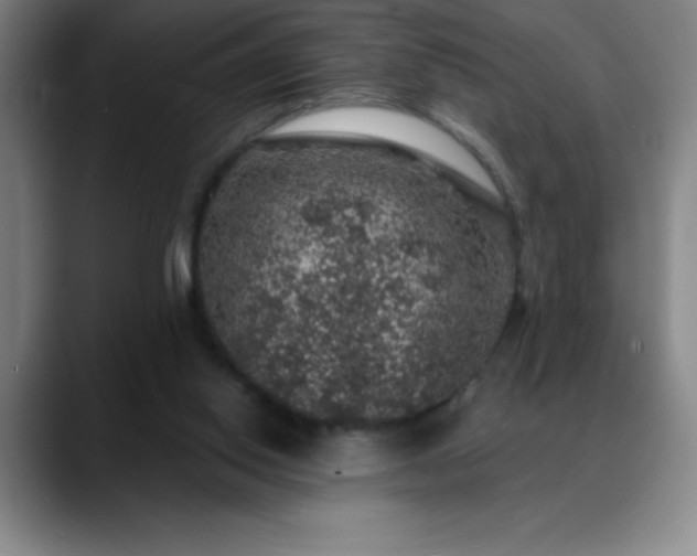 X0000088850062200706151725