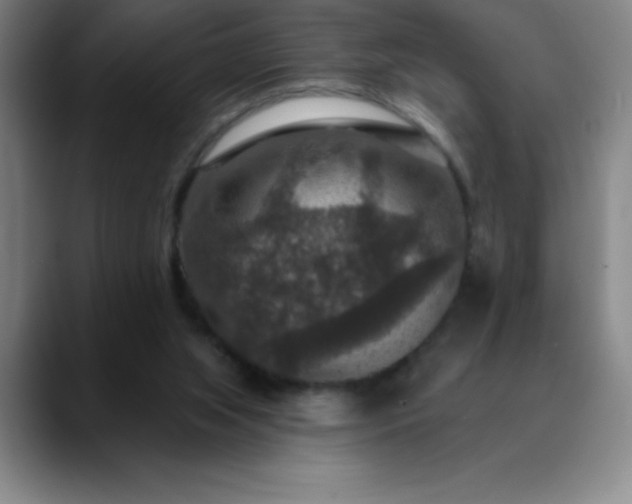 X0000088850063200706151725