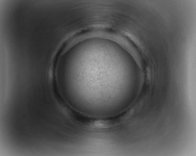 X0000088850064200706151725