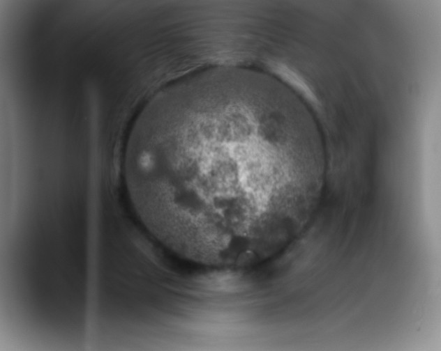 X0000088850065200706151725