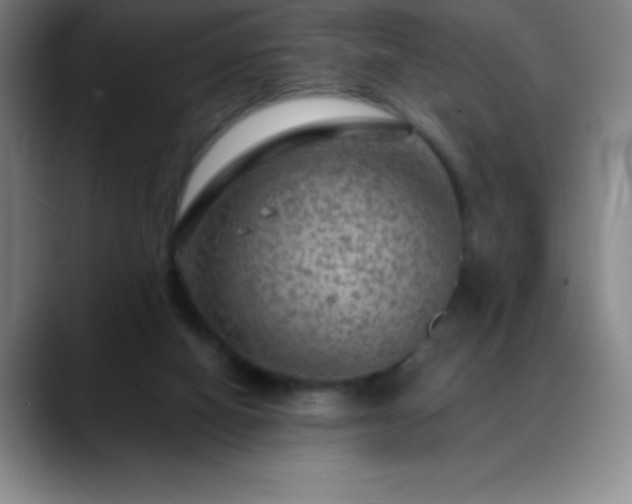 X0000088850066200706151725