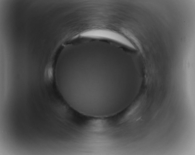 X0000088850067200706151725