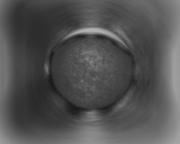 X0000088850068200706151725