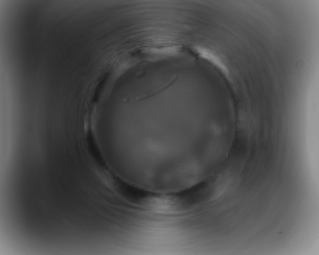 X0000088850069200706151725