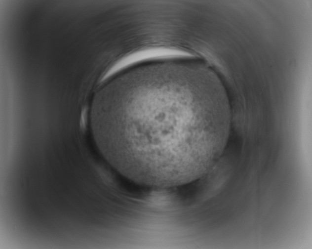 X0000088850070200706151725