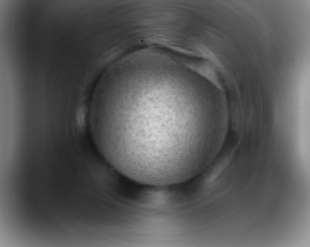 X0000088850071200706151725