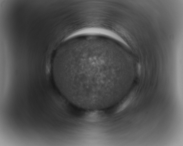 X0000088850072200706151725