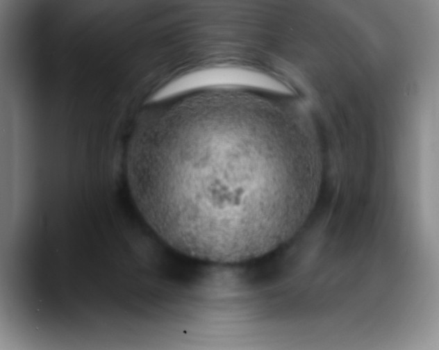 X0000088850073200706151725