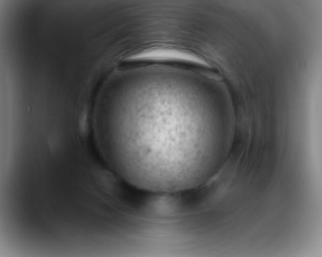 X0000088850074200706151725