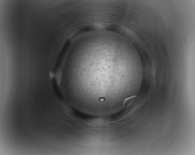 X0000088850075200706151725