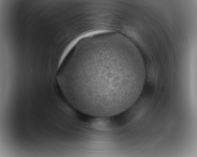 X0000088850077200706151725