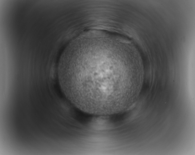 X0000088850078200706151725