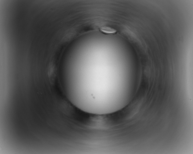 X0000088850079200706151725