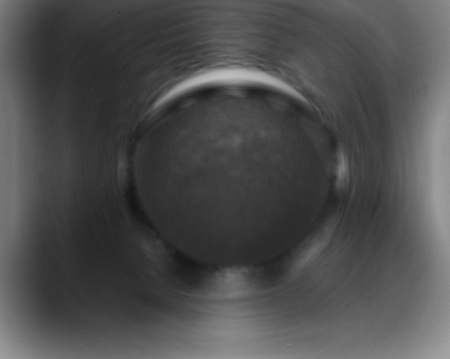 X0000088850080200706151725