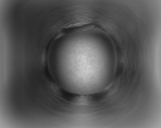 X0000088850082200706151725