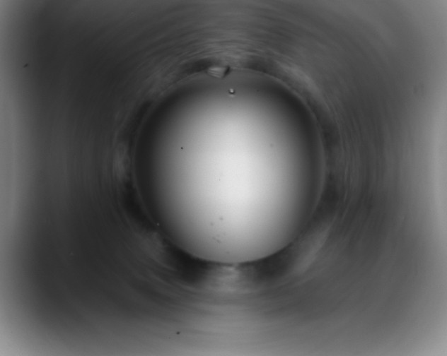 X0000088850083200706151725