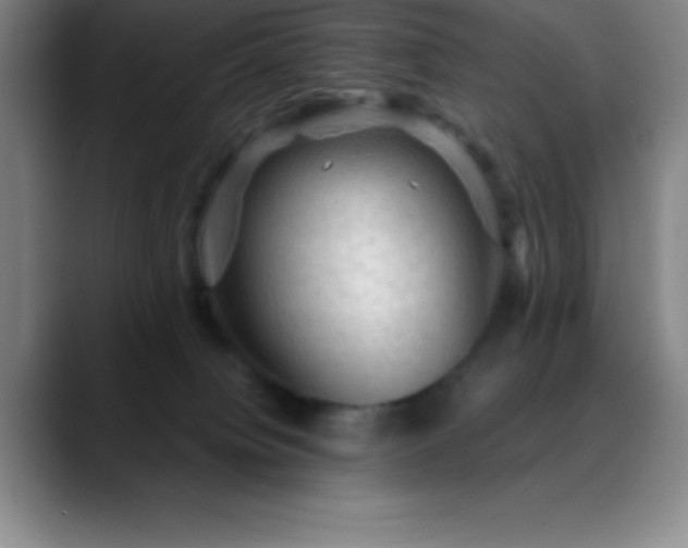 X0000088850084200706151725