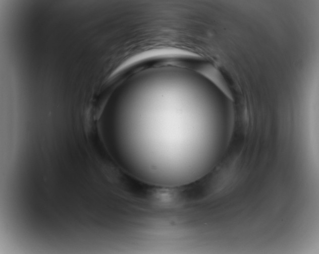 X0000088850088200706151725