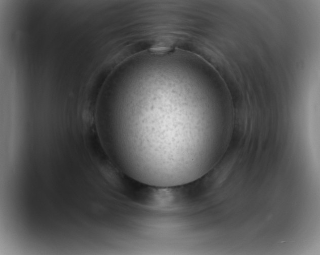 X0000088850091200706151725