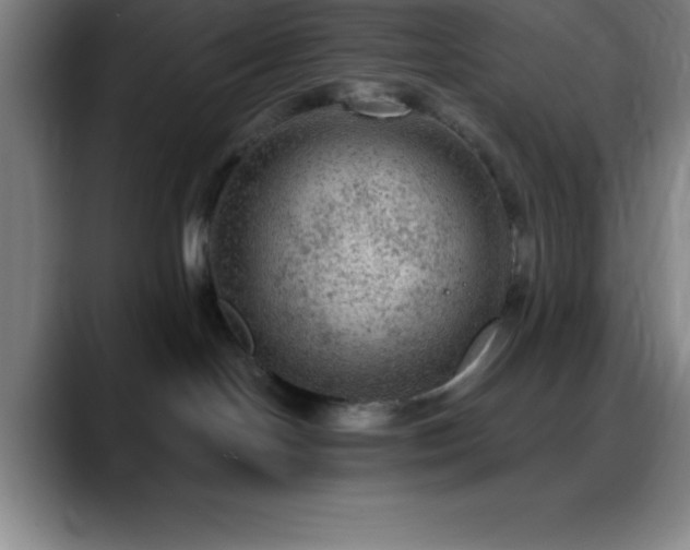 X0000088850094200706151725