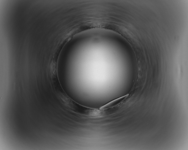 X0000088850096200706151725