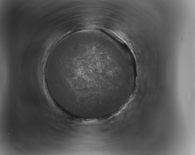 X0000088850097200706151724