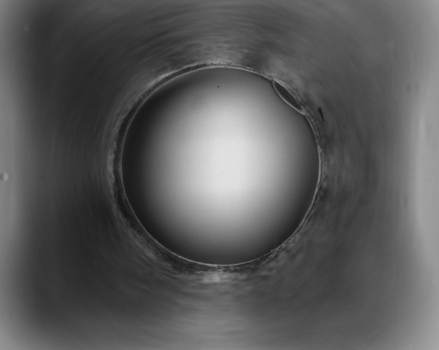 X0000088850098200706151724