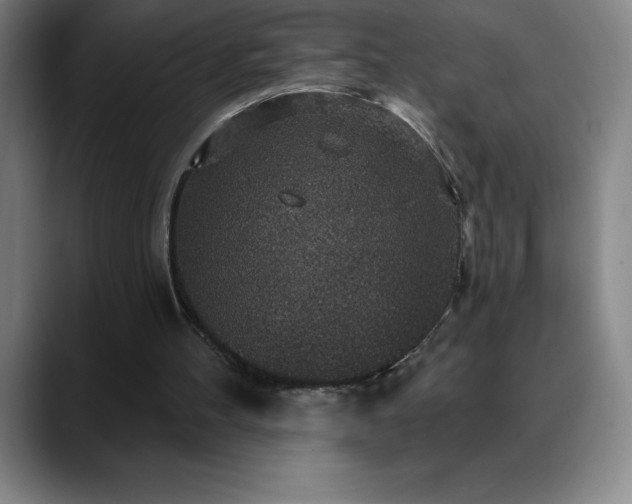 X0000088850100200706151724