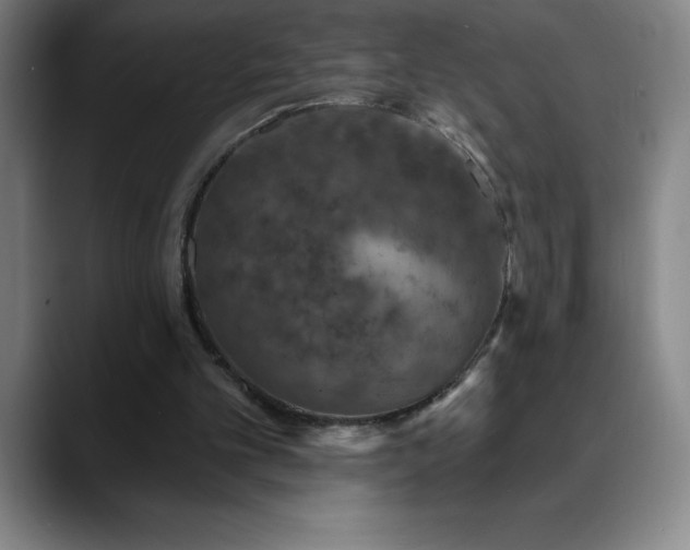 X0000088850101200706151724