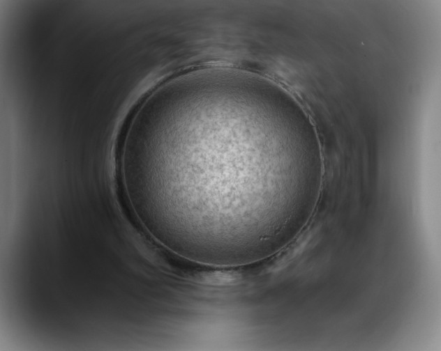 X0000088850102200706151724