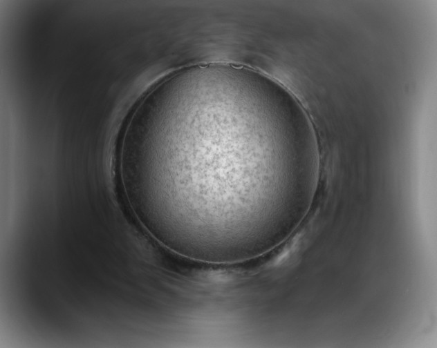 X0000088850103200706151724