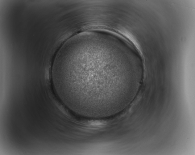 X0000088850105200706151724