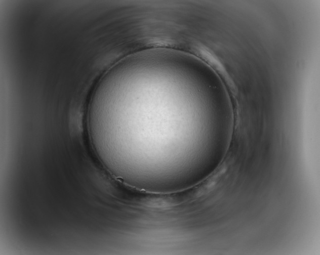 X0000088850106200706151724