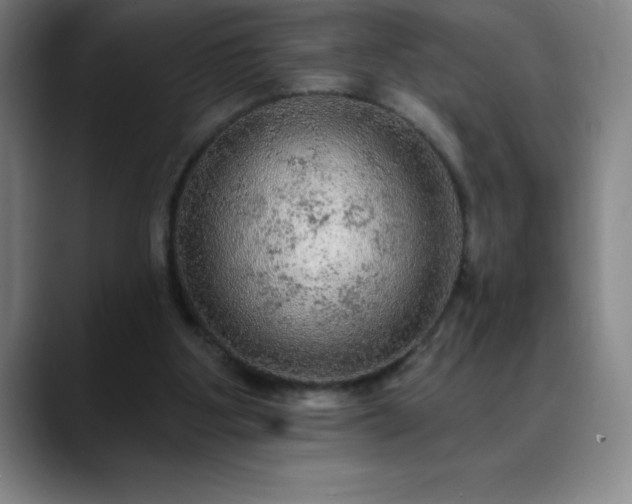 X0000088850107200706151724