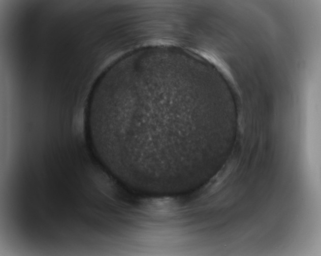 X0000088850108200706151724